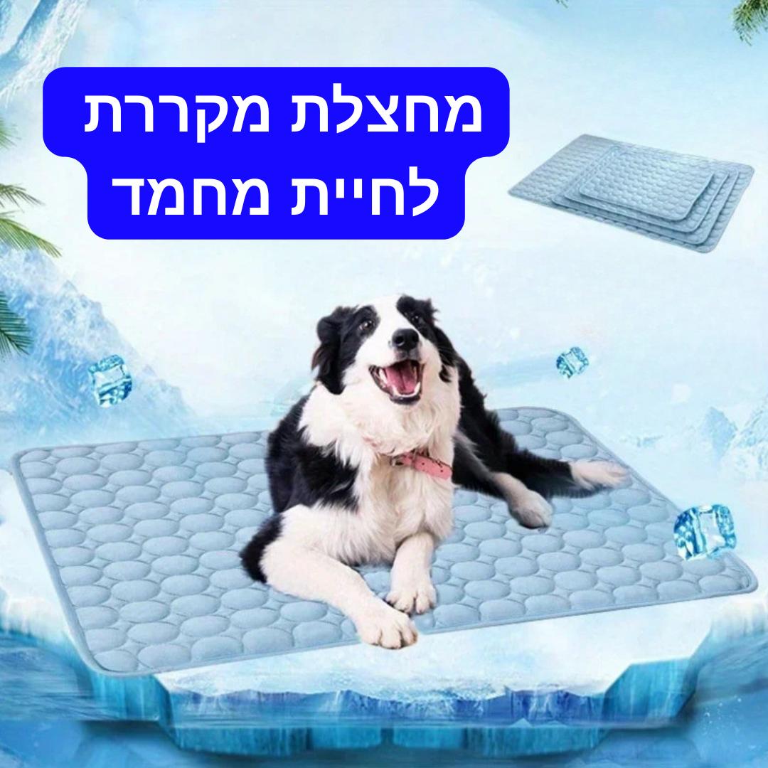 מחצלת קירור לכלב -מבית Pawfect D&C