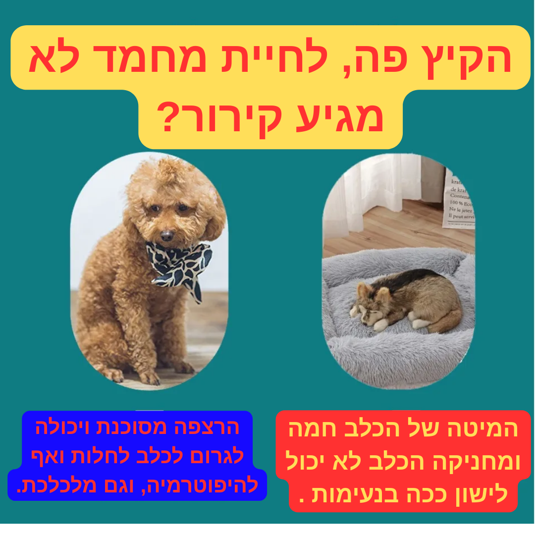 מחצלת קירור לכלב -מבית Pawfect D&C