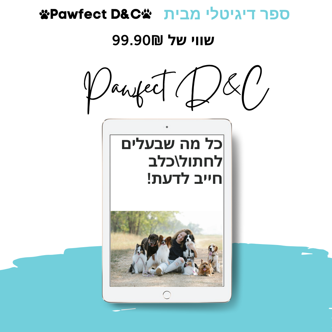 ספר דיגיטלי