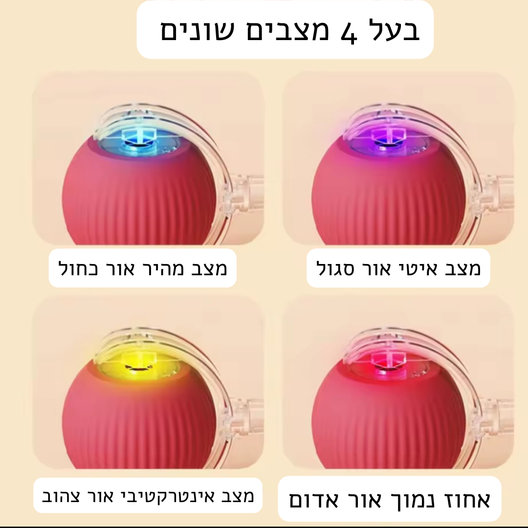 כדור חכם-מבית Pawfect D&C