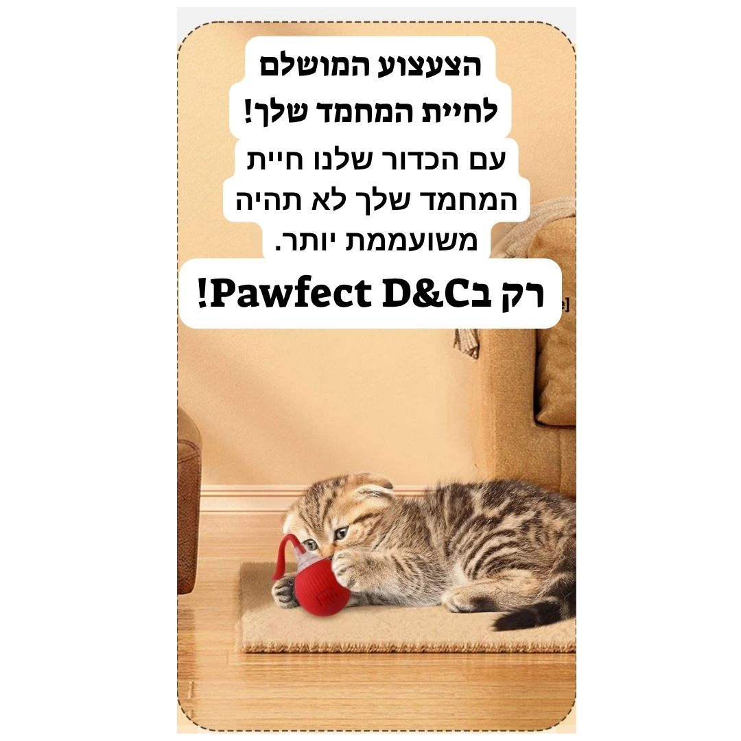 כדור חכם-מבית Pawfect D&C