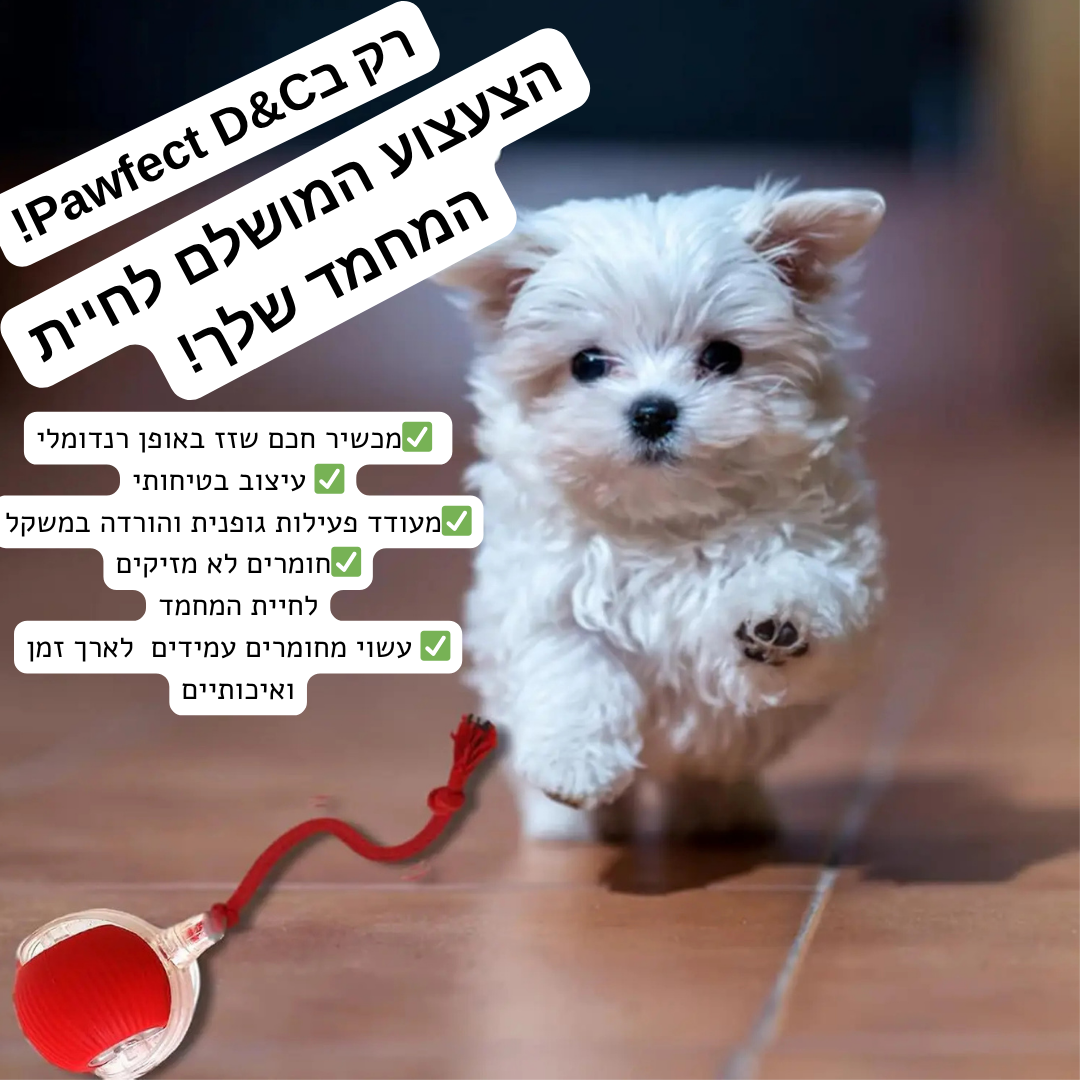 כדור חכם-מבית Pawfect D&C