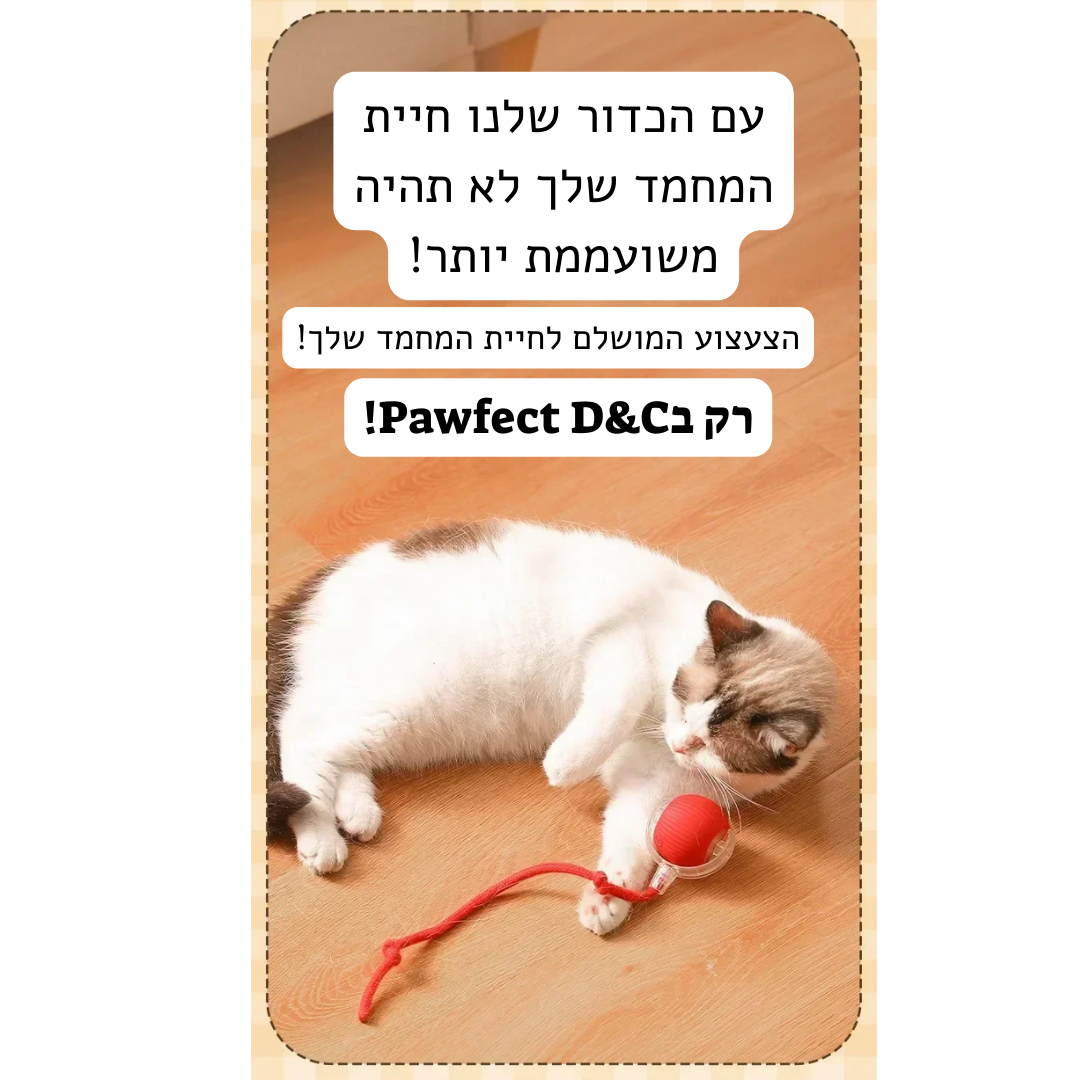 כדור חכם-מבית Pawfect D&C