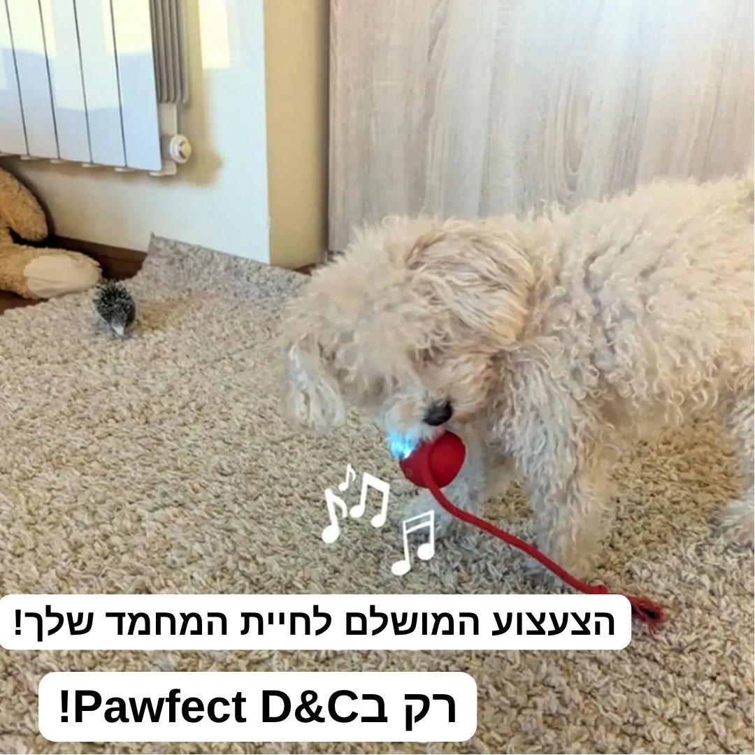 כדור חכם-מבית Pawfect D&C