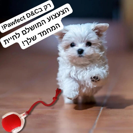 כדור חכם-מבית Pawfect D&C