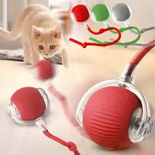 כדור חכם-מבית Pawfect D&C