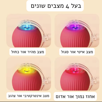 כדור חכם-מבית Pawfect D&C