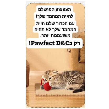 כדור חכם-מבית Pawfect D&C