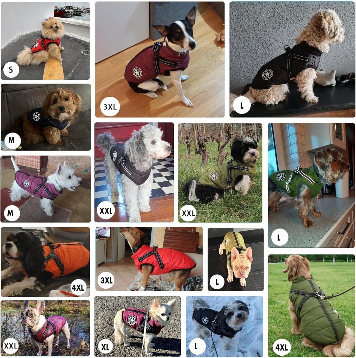 מעיל תרמי לכלב| לחורף בריא יותר - Pawfect D&C