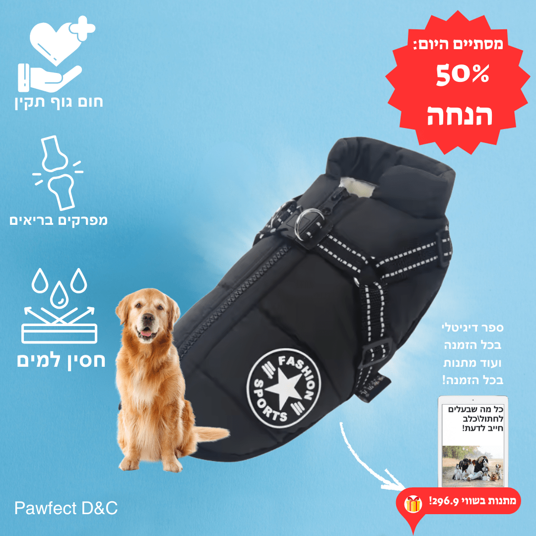 מעיל תרמי לכלב | לחורף בריא יותר - Pawfect D&C