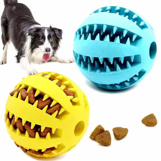 Pawfect D&C  כדור אכילה לחיית המחמד-מבית